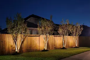 31742 Serrano Bluff Ln, Spring, TX 77386 - Photo 28