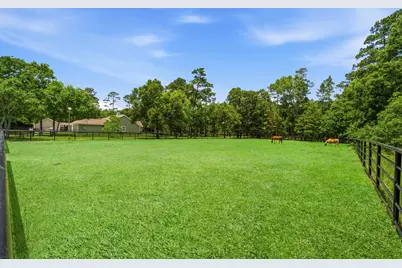 16903 Mustang Trail Drive, Magnolia, TX 77355 - Photo 40