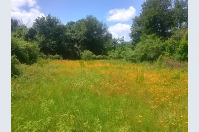 38241 Wiggins Road, Hempstead, TX 77445 - Photo 6