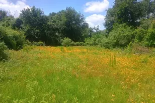 38241 Wiggins Rd, Hempstead, TX 77445 - Photo 6
