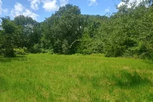 38241 Wiggins Rd, Hempstead, TX 77445 - Photo 6