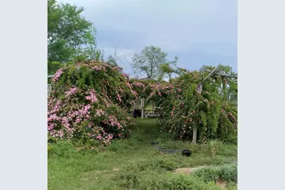 38241 Wiggins Road, Hempstead, TX 77445 - Photo 10