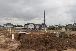 15659 Coneflower Hls Dr, Houston, TX 77090 - Photo 2
