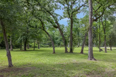 3906 County Road 157, Bedias, TX 77831 - Photo 44