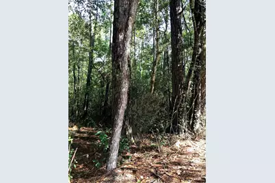 3665 E Railroad, Vidor, TX 77662 - Photo 2