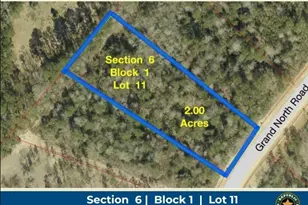 11756 Grand N Rd, Willis, TX 77378 - Photo 1