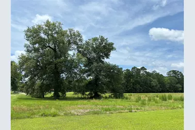 35599 State Highway 87 S, Buna, TX 77612 - Photo 8