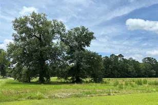 35599 State Hwy 87 S, Buna, TX 77612 - Photo 8