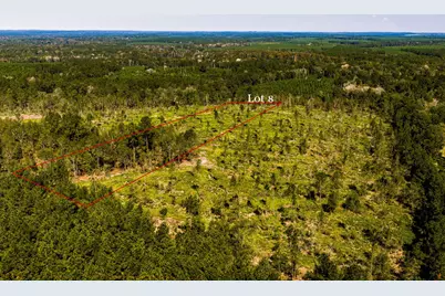 008 Buddy Lloyd Rd, Livingston, TX 77351 - Photo 1