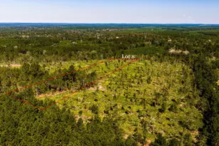 008 Buddy Lloyd Rd, Livingston, TX 77351 - Photo 1