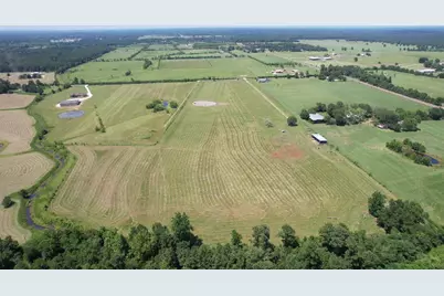 191 County Road 2276, Cleveland, TX 77327 - Photo 6