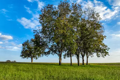 Tbd Sunshine Lot 13 Court, Chappell Hill, TX 77426 - Photo 16