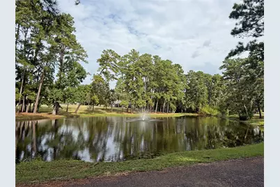 508 Rals Drive, Onalaska, TX 77360 - Photo 42