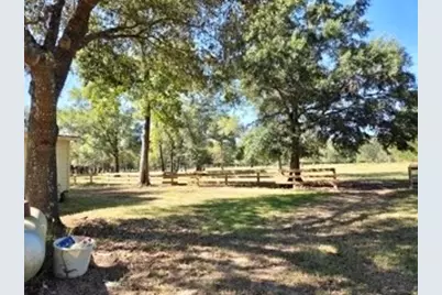 441 Wonderland Drive, Shepherd, TX 77371 - Photo 6