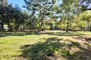 441 Wonderland Dr, Shepherd, TX 77371 - Photo 2