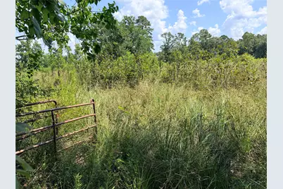 000 Old Sour Lake Road, Saratoga, TX 77585 - Photo 4