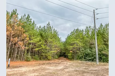 0020 Cr 2305 S, Moss Hill, TX 77327 - Photo 2