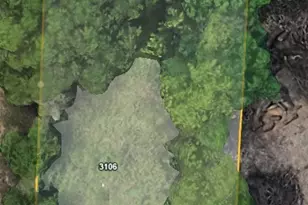 3106 Delano St, Houston, TX 77004 - Photo 2