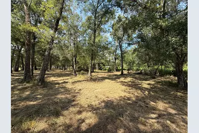 384 County Road 4017, Dayton, TX 77535 - Photo 8