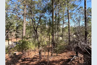 Tbd Mamalu Drive, Bastrop, TX 78602 - Photo 6