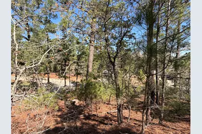 Tbd Mamalu Drive, Bastrop, TX 78602 - Photo 8