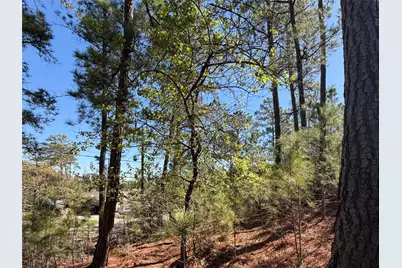 Tbd Mamalu Drive, Bastrop, TX 78602 - Photo 10