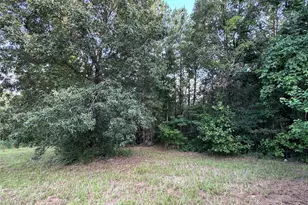 95 Red Wolf Ln, Brookeland, TX 75931 - Photo 2