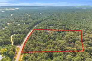 10195 Crown Ranch Blvd Blvd, Montgomery, TX 77316 - Photo 46