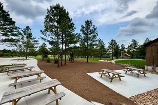 26795 Frontier Trace Drive, Montgomery, TX 77316 - Photo 22