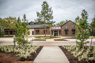 26795 Frontier Trace Drive, Montgomery, TX 77316 - Photo 14