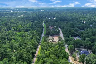 22 Majestic Falls Dr, Kingwood, TX 77339 - Photo 8