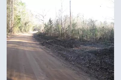 892 County Rd 1850, Grapeland, TX 75844 - Photo 6