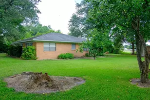 9231 Kostelnik St, Needville, TX 77461 - Photo 4
