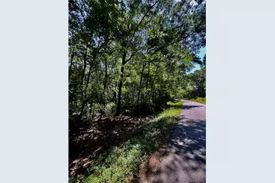 Tbd Lot 5 Rolling Hills Drive, Porter, TX 77365 - Photo 1