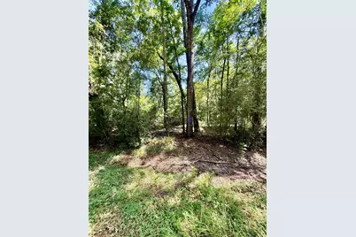 Tbd Lot 5 Rolling Hills Drive, Porter, TX 77365 - Photo 6