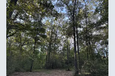 0 Buck Creek Drive, Shepherd, TX 77371 - Photo 1