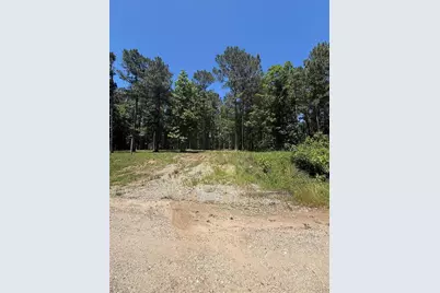5183 Felix Currie Road, Point Blank, TX 77364 - Photo 8