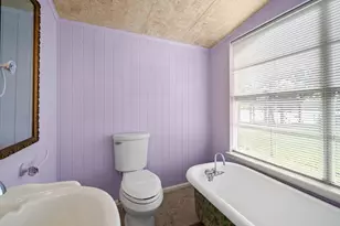 6250 County Rd 659, Brazoria, TX 77422 - Photo 34