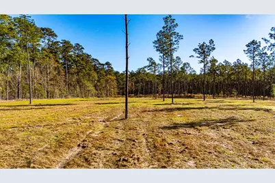 Lot 20 Big Buck Drive, Moscow, TX 75960 - Photo 4