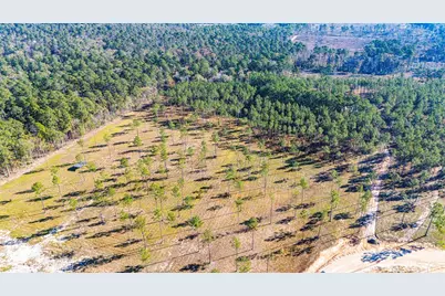Lot 20 Big Buck Drive, Moscow, TX 75960 - Photo 6
