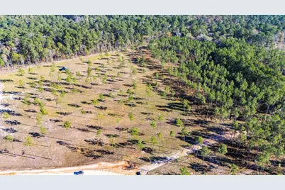 Lot 20 Big Buck Drive, Moscow, TX 75960 - Photo 8