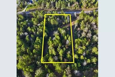 10662 Ruger Road, Willis, TX 77378 - Photo 4