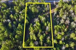 10662 Ruger Rd, Willis, TX 77378 - Photo 4