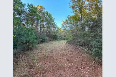 10662 Ruger Road, Willis, TX 77378 - Photo 14