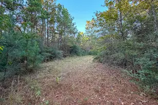 10662 Ruger Rd, Willis, TX 77378 - Photo 14