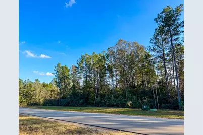 10662 Ruger Road, Willis, TX 77378 - Photo 6