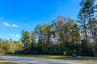 10662 Ruger Rd, Willis, TX 77378 - Photo 6