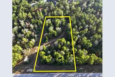 10662 Ruger Road, Willis, TX 77378 - Photo 2