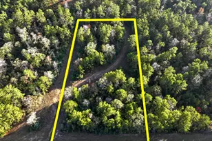 10662 Ruger Rd, Willis, TX 77378 - Photo 2