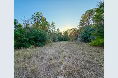 10662 Ruger Road, Willis, TX 77378 - Photo 12